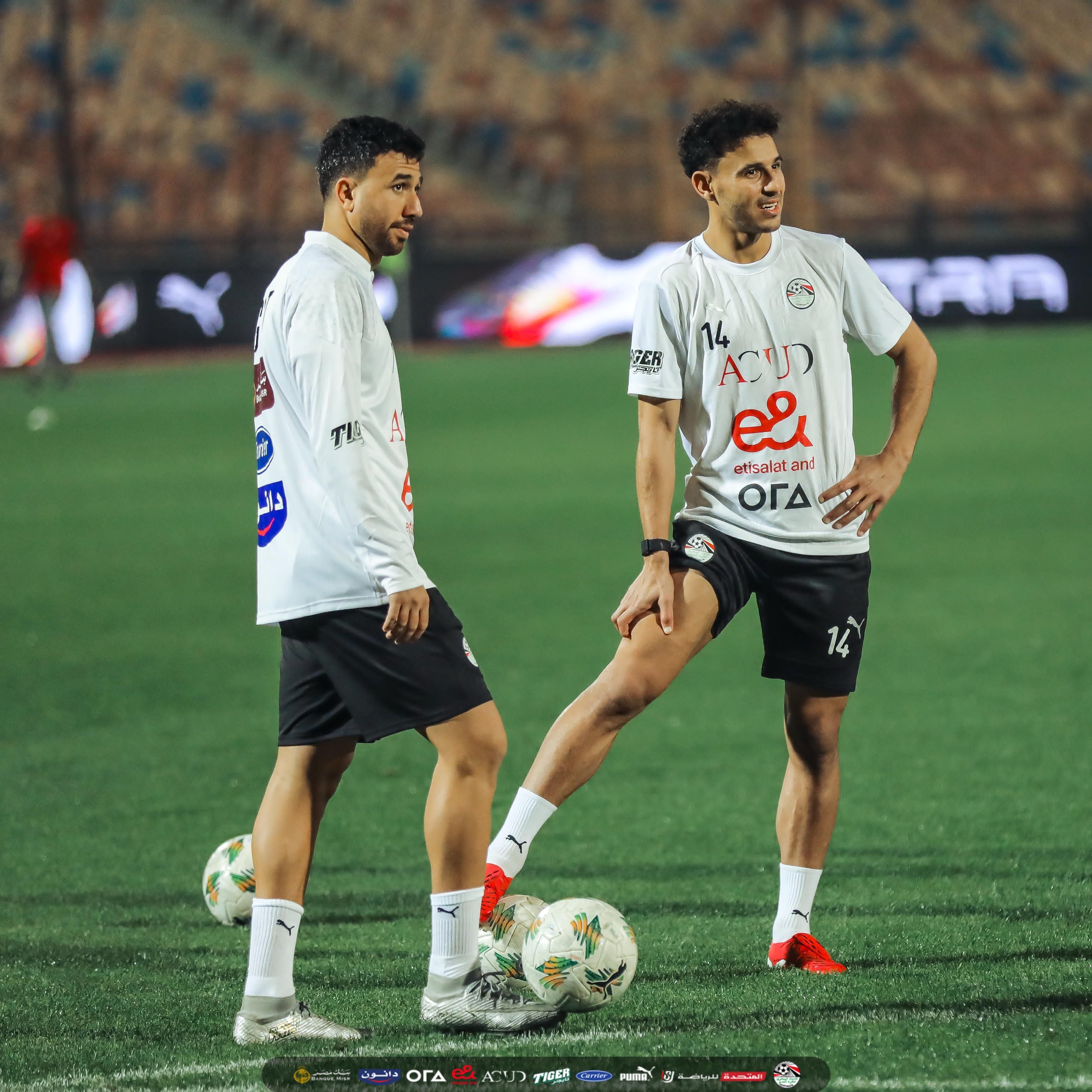 حمدي وتريزيجيه حمدي وتريزيجيه
