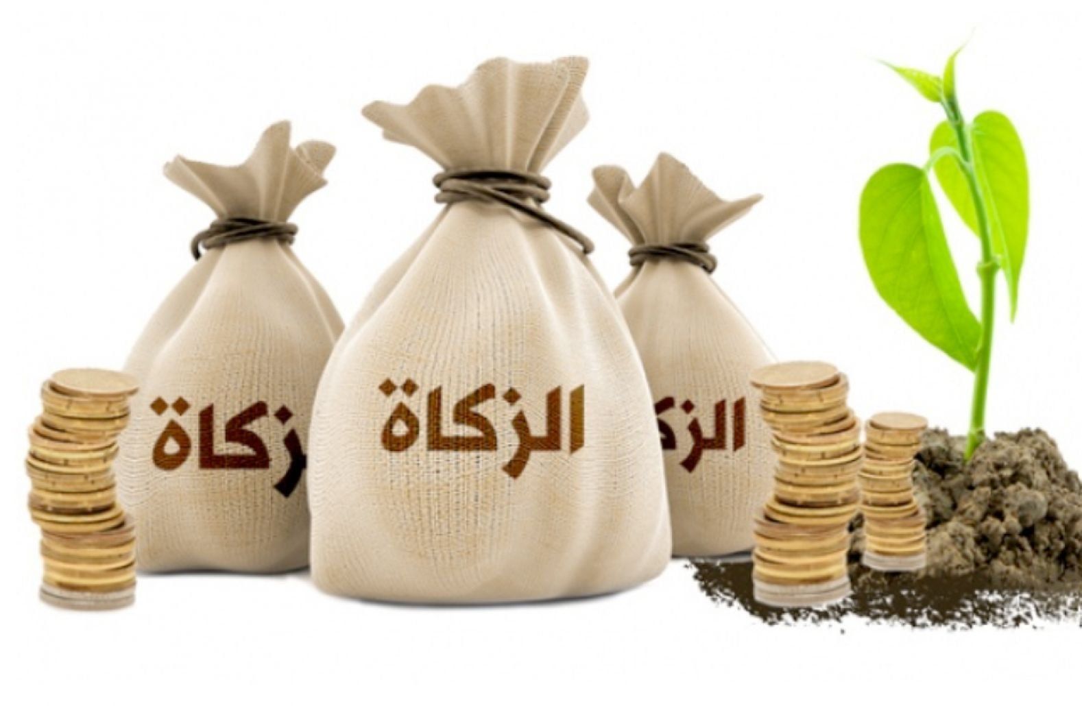 زكاة الفطر 2025