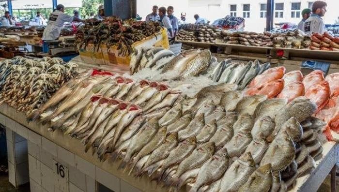 أسعار الأسماك والجمبري اليوم