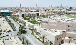 جامعة الأمير سلطان