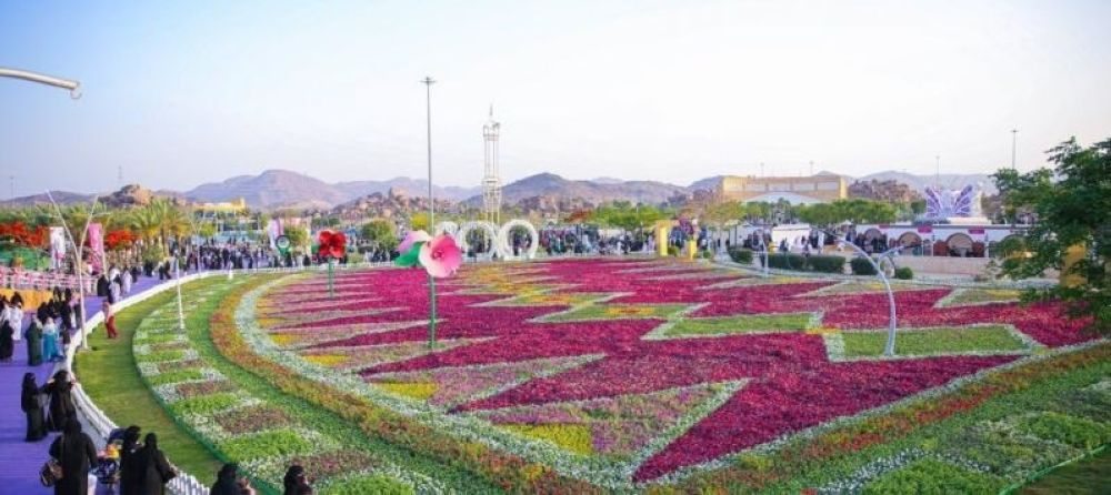أمانة الطائف تجهّز سجادة زهور ضخمة بمنتزه الردف بمساحة 5 آلاف م2 - إكس
