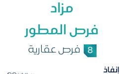 مزاد فرص المطور