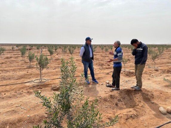 «بحوث الصحراء» يطمئن على سلامة المحاصيل بعد العاصفة الترابية وسط وشمال سيناء