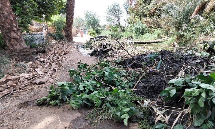 سكان جزيرة الكروم يستغيثون: مخلفات تطهير ترعة تغلق طريقهم الوحيد