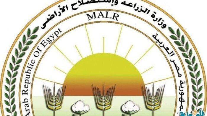 «الزراعة» تتابع عمليات حصاد البطاطس في المناطق الخالية من العفن البني