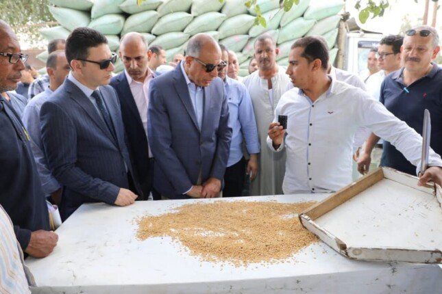 «ذهب المنيا».. المحافظ يتابع حصاد الخير ويؤكد: 120 ألف طن قمح حتى الآن