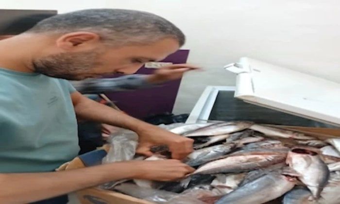ضبط 14 طن لحوم ودواجن فاسدة في حملات بالمنوفية