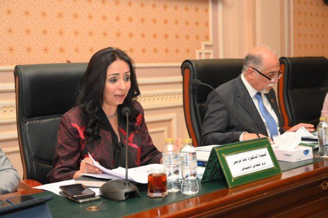 وزيرة التضامن الاجتماعي لـ النواب: مصر من أنجح دول المنطقة بملف الحماية الاجتماعية