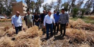 محافظ أسيوط يشارك العمال احتفالات عيدهم ويتفقد حصاد 40 فدان قمح - عرب فايف