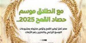 2200 جنيه للأردب و420 نقطة تجميع.. دعم غير مسبوق للمزارعين في موسم توريد القمح 2025 - عرب فايف