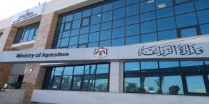 وزارة الزراعة: فتح باب استيراد الليمون لشهرين نظراً لارتفاع الأسعار - عرب فايف