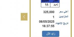 سعرها 325 ألف جنيه.. خطوات التزايد على لوحة سيارة مميزة - عرب فايف