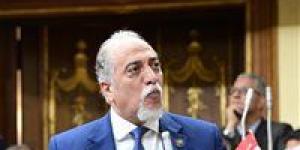 رئيس تضامن النواب: الرئيس السيسي يولي ذوي القدرات الخاصة اهتمام كبير - عرب فايف