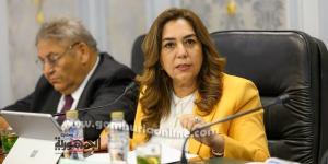 4.3 مليار جنيه موازنة التنمية المحلية للعام المالي 25 / 26 - عرب فايف