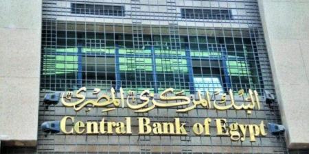 فيتش تتوقع تخفيض البنك المركزي المصري سعر الفائدة بنسبة 7% خلال العام الجاري - عرب فايف