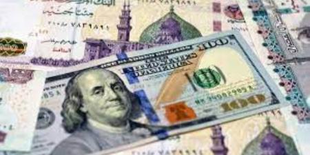 استقرار سعر الدولار اليوم مقابل الجنيه في البنوك المصرية - عرب فايف
