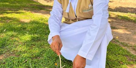 القضاء على أكثر من 155 ألف طائر غازٍ في ظفار لحماية التوازن البيئي - عرب فايف
