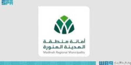 أمين المدينة المنورة يبحث تعزيز التعاون مع القنصل العام الألماني - عرب فايف