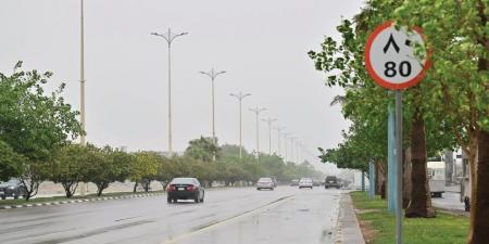 أمطار وصواعق على منطقة المدينة المنورة حتى مساء اليوم - عرب فايف