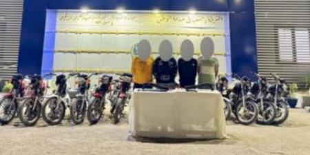 ضبط تشكيلين عصابيين لسرقة المساكن والدراجات الناريه بالدقهلية - عرب فايف