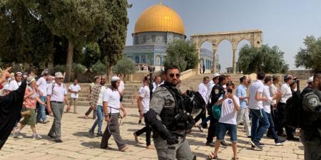 مستوطنون يقتحمون المسجد الأقصى وينفذون جولات استفزازية - عرب فايف