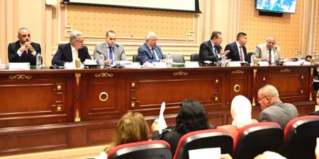 غير دستوري.. مصطفى بكري يهاجم مشروع قانون الإيجار القديم: الحكومة متسلطة على الشعب وترمي كرة اللهب في ملعب البرلمان - عرب فايف