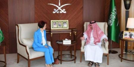 سفير المملكة لدى مصر يستقبل المديرة الإقليمية لبرنامج الأغذية العالمي - عرب فايف