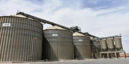 تموين أسوان: توريد 104 آلاف طن قمح خلال موسم الحصاد - عرب فايف