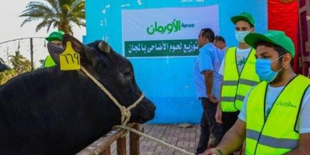 الأورمان تطرح صك الأضحية بقسط شهرى 500 جنيها لزيادة أعداد المستفيدين ببني سويف - عرب فايف