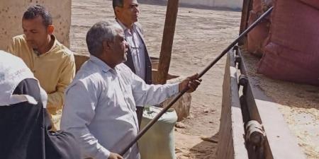 شون وصوامع المنيا تستقبل 150 ألف طن من القمح - عرب فايف