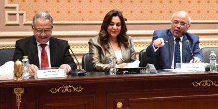 وزيرة التنمية: «الإسكان» هي المسئولة عن تعويض المتضررين من مشروع قانون الإيجار القديم - عرب فايف