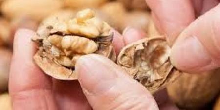 هل يحميك الجوز من سرطان القولون؟ دراسة تجيب - عرب فايف