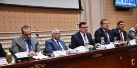 الحكومة : عدم إقرار قانون الإيجار القديم سيترتب عليه فسخ العقد تلقائيا بين المالك والمستأجر - عرب فايف