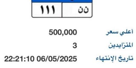 بوابة مرور مصر تطرح لوحة مميزة يصل سعرها لـ "نصف مليون" - عرب فايف