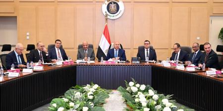 الوزير: توافق المجموعة الوزارية على معايير حوافز تصنيع السيارات - عرب فايف