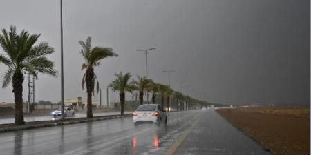 طقس المملكة.. أمطار غزيرة وعواصف رعدية على منطقة الباحة - عرب فايف