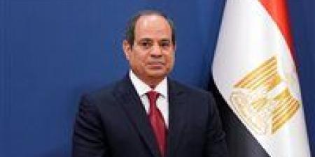 الرئيس السيسي: أشيد بالمشاورات الناجحة مع رئيس الوزراء اليوناني - عرب فايف