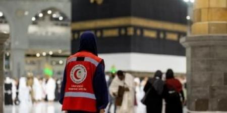 ضبط مقيم حاول إيصال 22 وافدًا إلى مكة المكرمة دون تصريح - عرب فايف