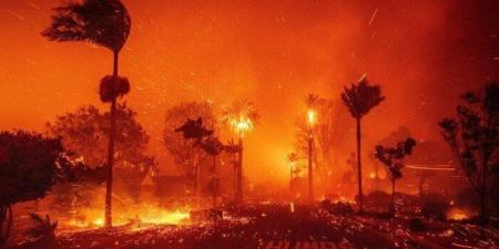 على مدار 15 عامًا.. دخان حرائق الغابات يتسبب في وفاة الآلاف بالولايات المتحدة - عرب فايف