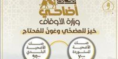 البلدي ٩٥٠٠ جنيه.. انطلاق حملة صكوك الأضاحي لعام ١٤٤٦هـ / ٢٠٢٥م اليوم - عرب فايف