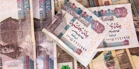 ارتفاع سعر الدولار اليوم مقابل الجنيه في البنوك المصرية - عرب فايف