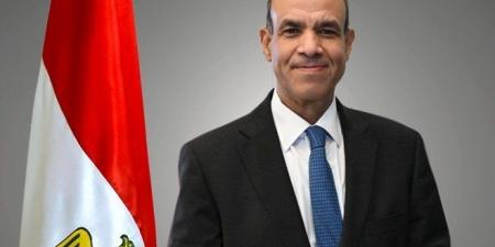 مصر.. وزير الخارجية والهجرة يشارك افتراضيا في المنتدى الإفريقي للتعاون جنوب-جنوب - عرب فايف