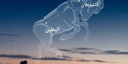 "الإمارات للفلك".. طلوع "منزلة الشرطان" بدءا من 12 مايو علامة دخول الصيف - عرب فايف