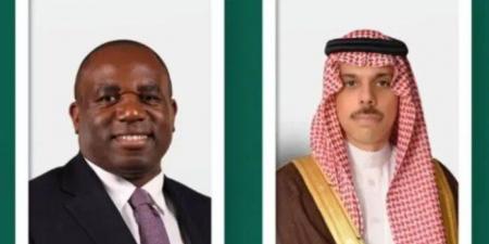 السعودية و بريطانيا تبحثان العلاقات الثنائية والتطورات الإقليمية والدولية - عرب فايف