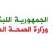 الصحة: 3 شهداء نتيجة الغارة الاسرائيلية على سيارة في بلدة ميس الجبل - عرب فايف