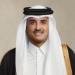 أمير قطر يبحث مع رئيس الوزراء الباكستاني العلاقات الثنائية والمستجدات الإقليمية والدولية - عرب فايف
