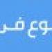 حبس المتهم بقتل زوجته بـ3 طعنات في المرج - عرب فايف
