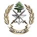 الجيش: تسلمنا من حماس فلسطينيا مشتبهًا به في عمليتَي إطلاق صواريخ باتجاه الأراضي الفلسطينية المحتلة - عرب فايف