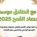 إعلام الوزراء: 3.1 مليون فدان قمح وأصناف جديدة عالية الإنتاجية ودعم غير مسبوق للمزارعين في موسم توريد 2025 - عرب فايف