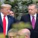 ترامب يريد "العمل" مع اردوغان لإنهاء الحرب في أوكرانيا - عرب فايف